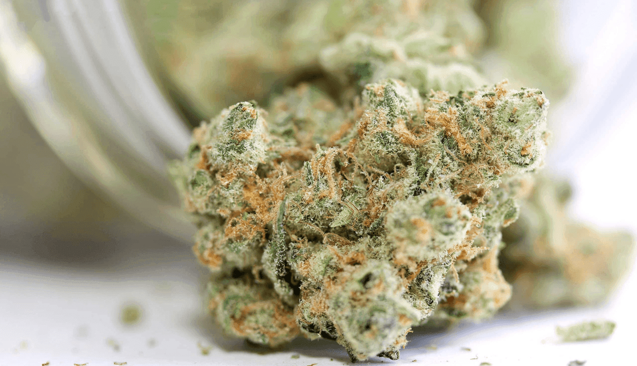 Cannabisblüten die aus einem Gefäß rollen